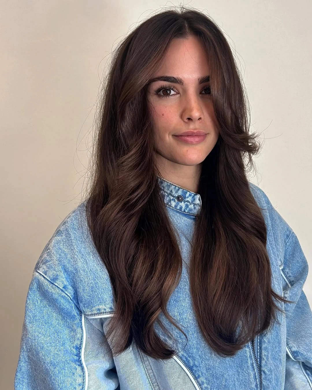 dimensional brunette hair color Curtain Layers With Soft Brunette Ends