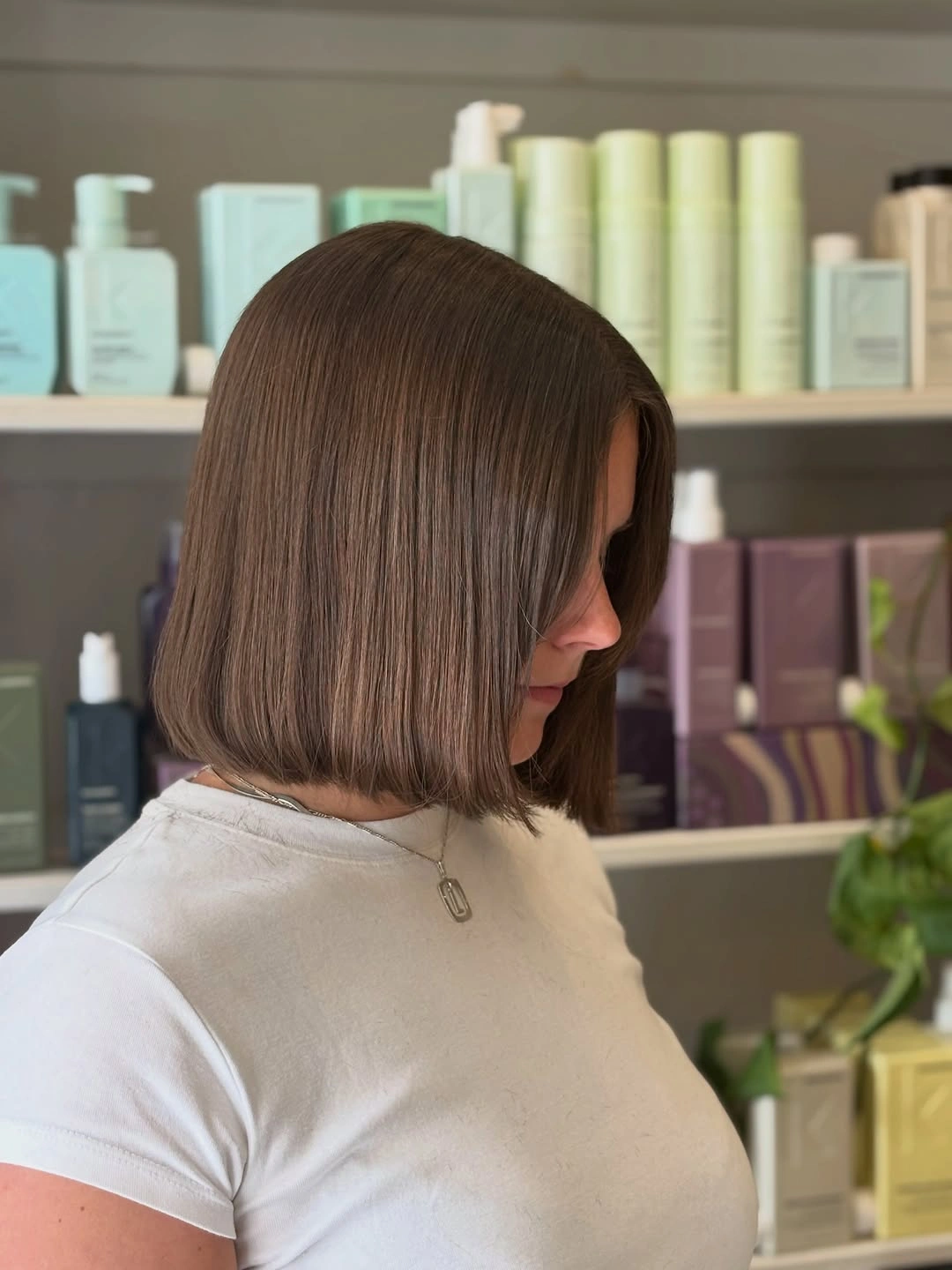 fall brunette hair colour 2026 Minimalist Espresso Blunt Bob