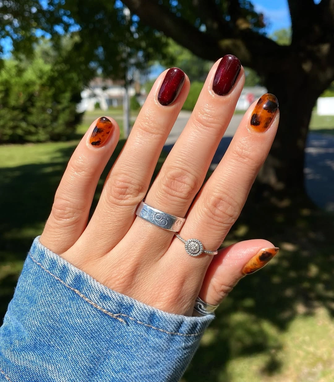 Fall short nails 2026 Burgundy And Pumpkin Short Nails In Sunlight