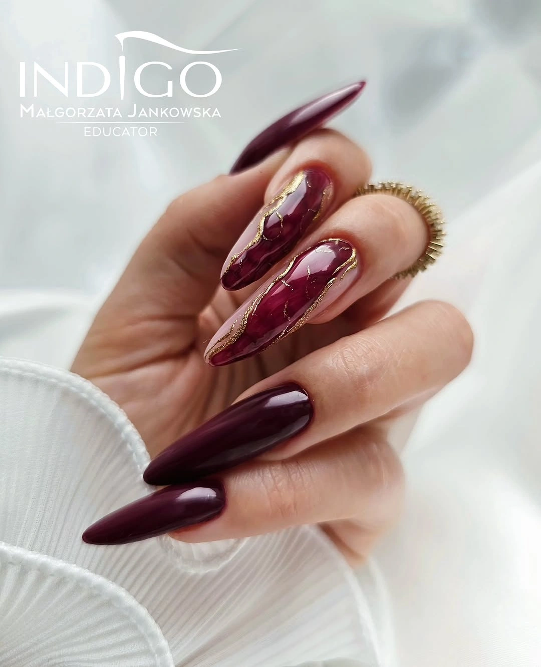 Long plum stiletto nails with one ornate gold accent