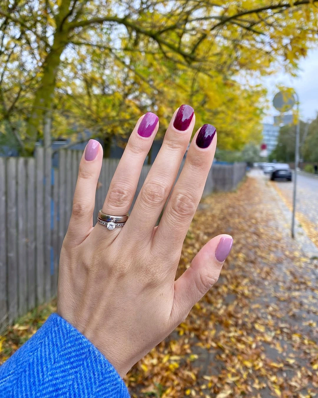 Short pale nails with uneven curved red and plum accent sections