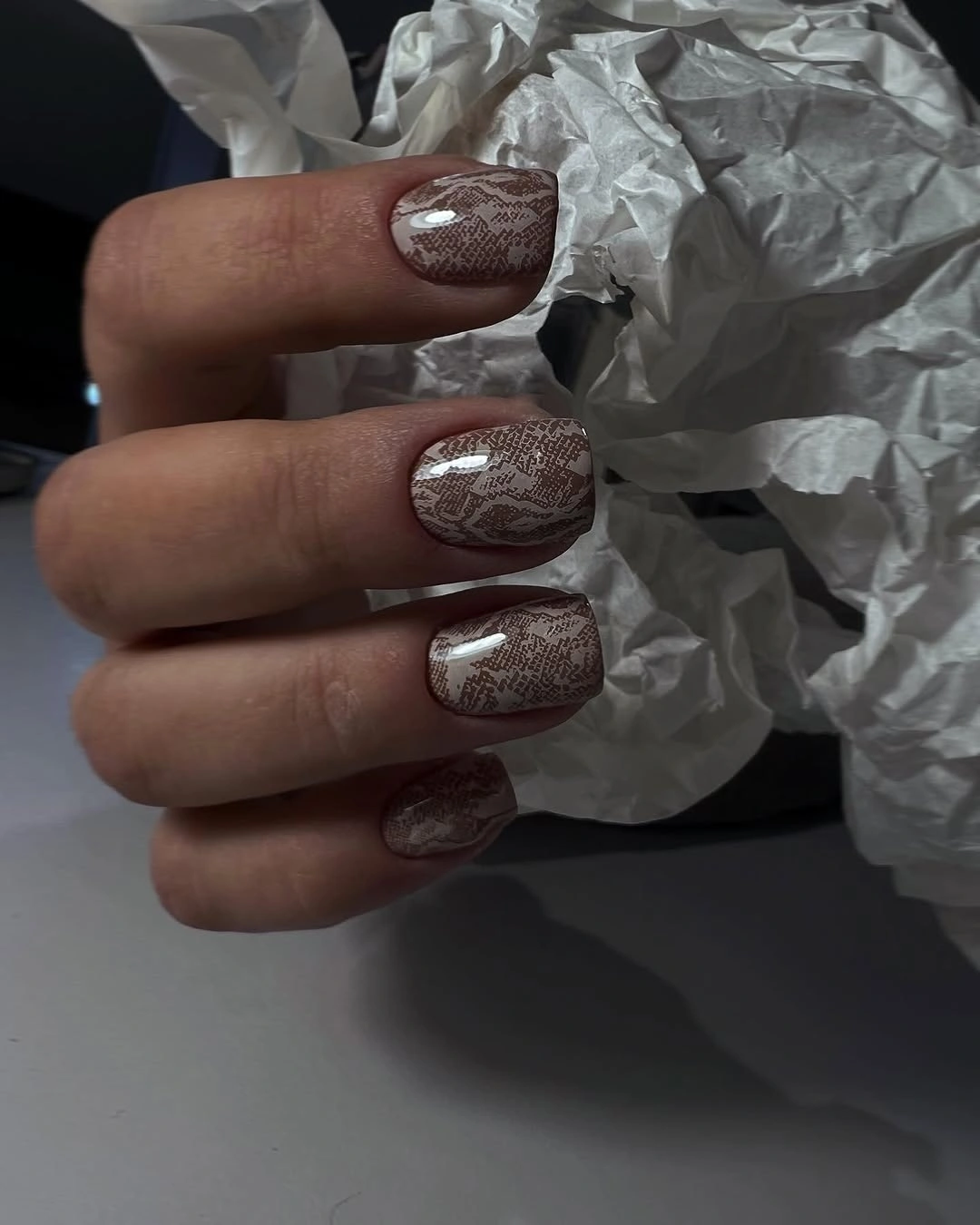 Medium rounded square brown nails with fine silver sparkle