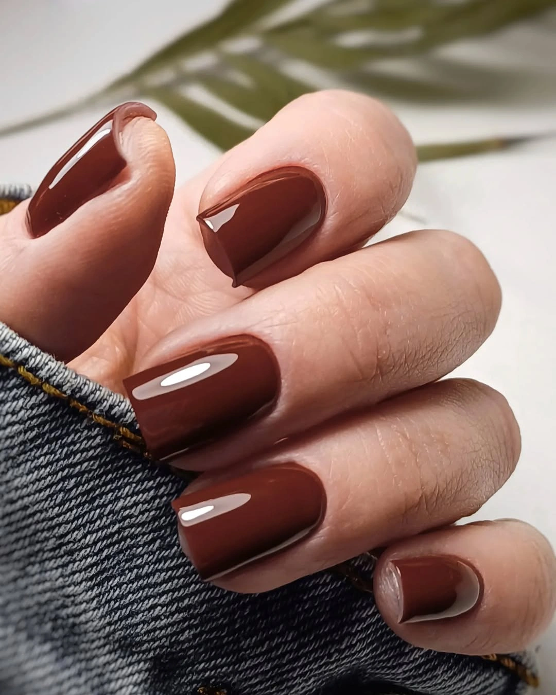 Glossy short square nails in rich chocolate brown