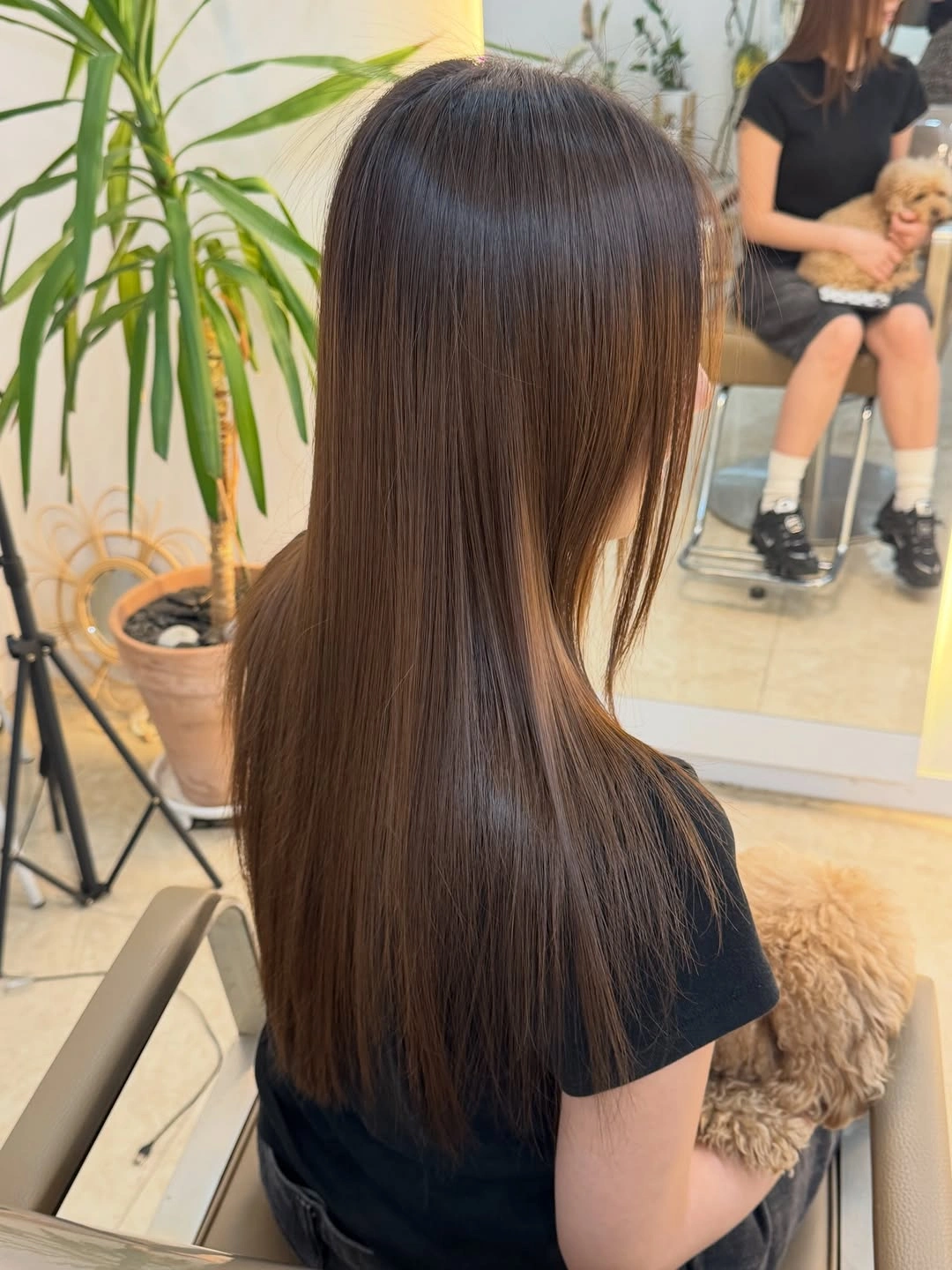 Long straight medium-dark brunette hair with smooth glossy finish