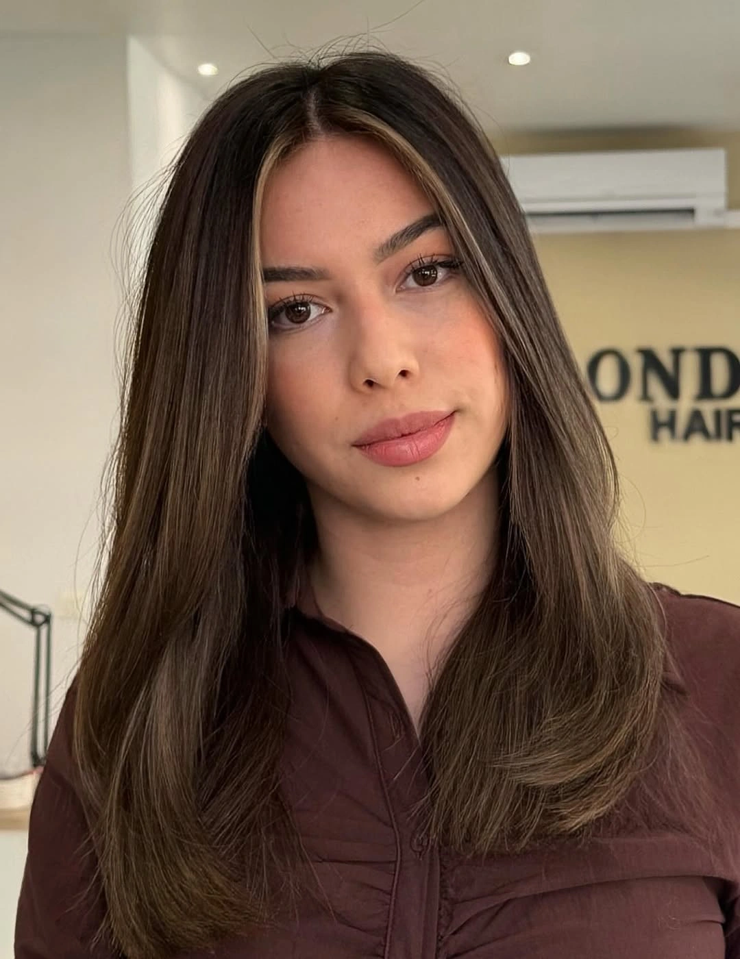 Long smooth brunette hair with slim beige face-framing pieces