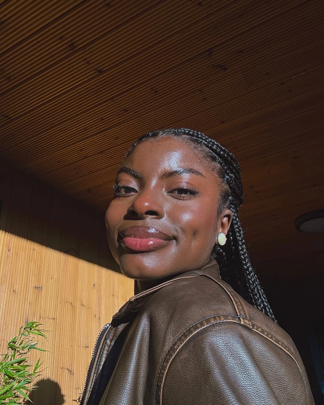 Small long braids pulled back under warm light